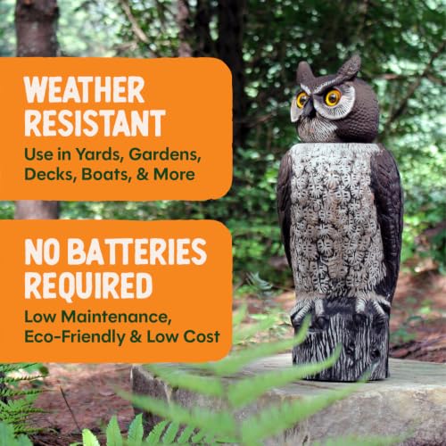 Large Rotating Head Fake Owl Decoy to Scare Birds Away