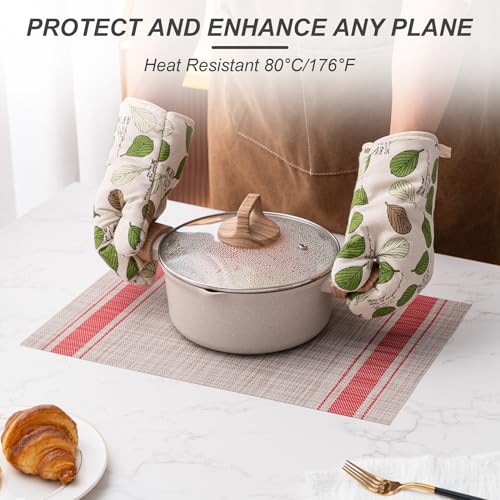 Placemats Set of 4 Washable Indoor (4 Count)