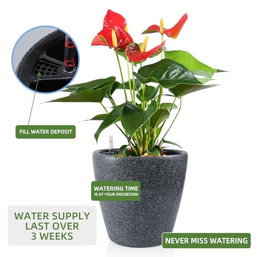 15x14 Self Watering Planter with Wheels