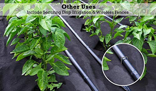 6 inch Landscape Sod Staples (500 Count)