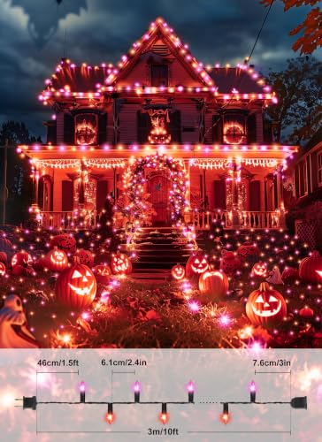 2 Pack Orange & Purple Halloween Mini Lights (2 Count)