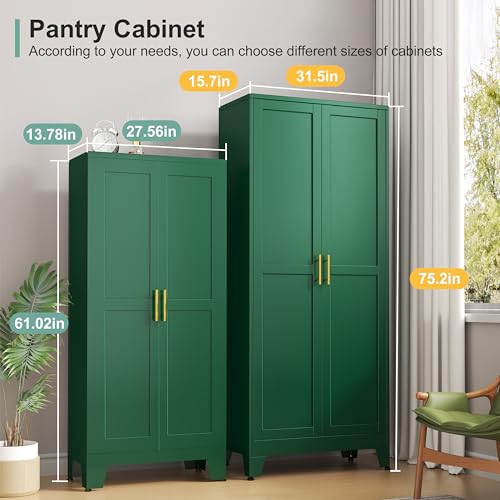 Metal Pantry Cabinet with 2 Doors and 5 Adjustable Shelves