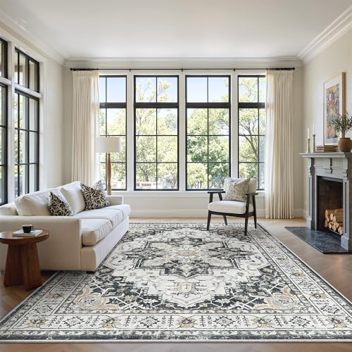 5x7 Area Rugs for Living Room