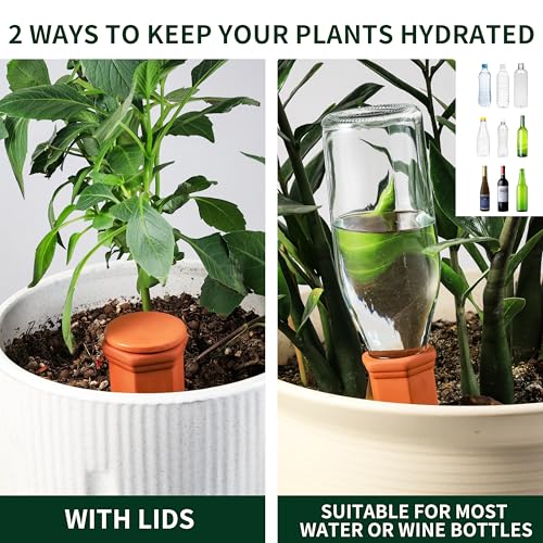 Large Terracotta Watering Spikes with Lids (6 Count)