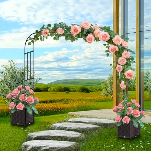 Garden Arch Trellis