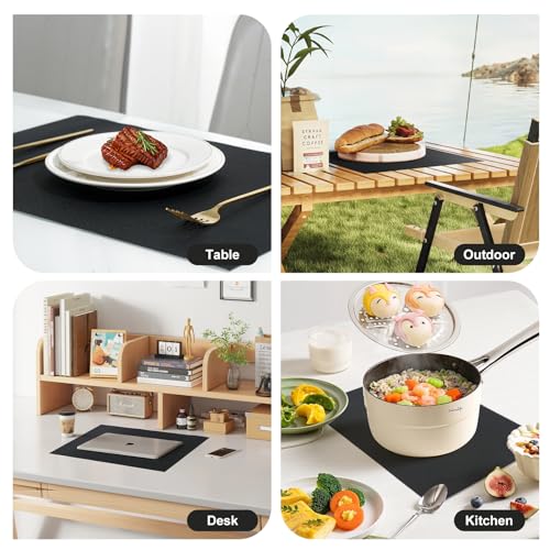 Placemats Set of 12 (12 Count)