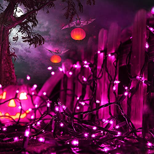 Purple Halloween Lights (12.5 Foot)