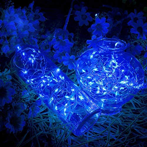 100 LED Christmas Fairy Lights (66 Foot)