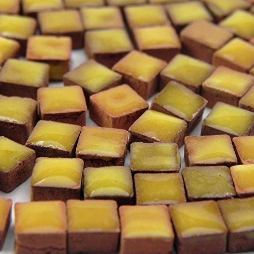 1000 Pieces Mini Ceramic Mosaic Tiles for Crafts (1000 Count)