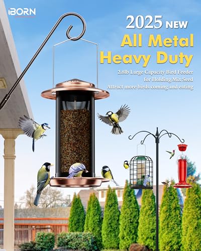 Bird Feeders for Outdoors