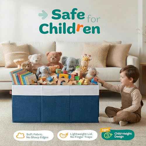 Extra Large Toy Storage Organizer with Lid