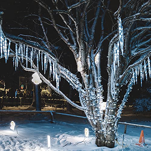 Meteor Shower Lights