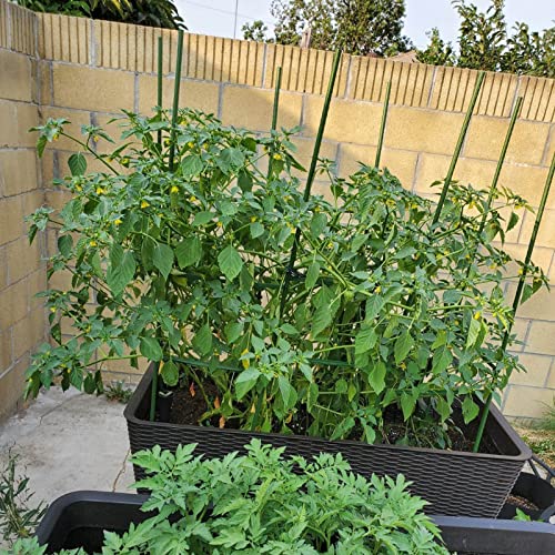 Garden Stakes (25 Count)