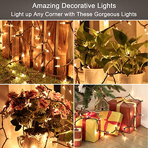 Clear Christmas String Lights (100 Count)