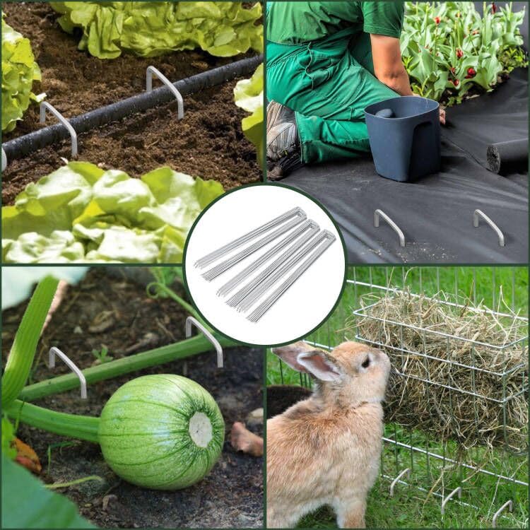 8 Inch 100 Pack Galvanized Landscape Staples 11 Gauge Anti (100 Count)