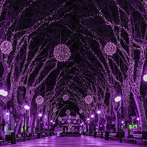 Halloween String Lights Outdoor (98 Foot)