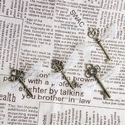 30 PCS Vintage Skeleton Keys Flying Keys Charms with 30 Pairs Wings (30 Count)