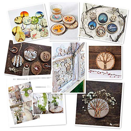 Natural Wood Slices TICIOSH 50 Pcs 2.4 (50 Count)