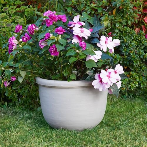Agave Planter