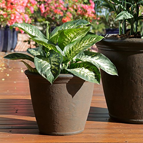 Sunnydaze Anjelica 15.25'' Large Plastic Planter Pot for Plants (4 Count)