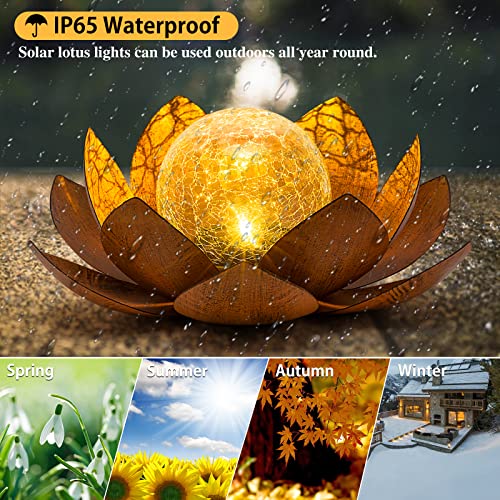 Solar Light Outdoor (2 Count)