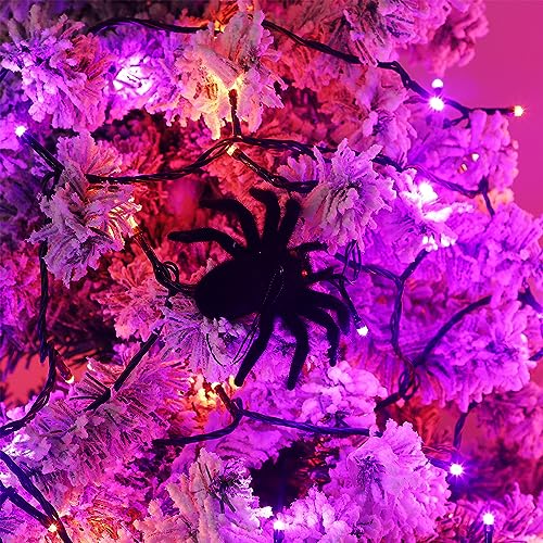 Halloween Lights