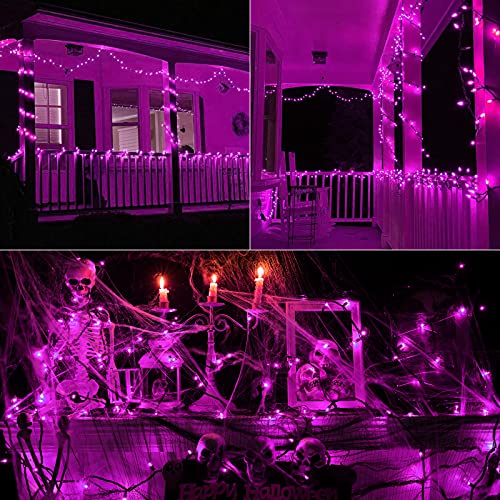 Purple Halloween Lights (75 Foot)