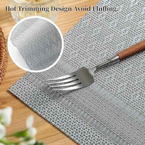 Lunar Grey Placemats Set of 12 (12 Count)