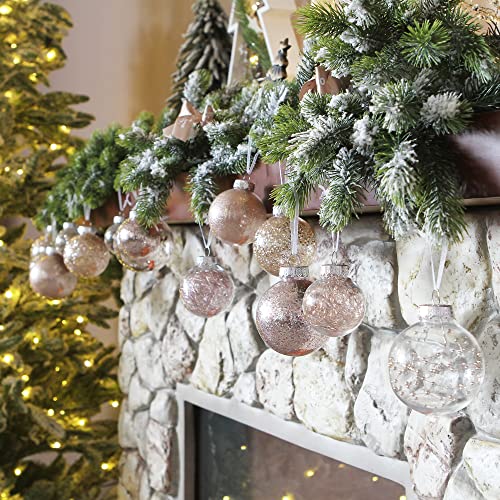 24 Pack Clear Christmas Ball Ornaments with Fillers (24 Count)