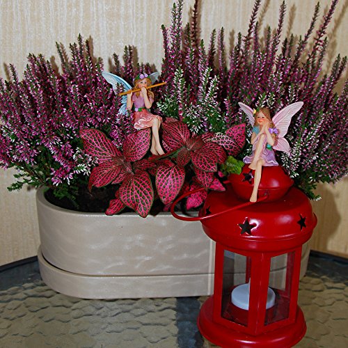 Fairy Garden Figurines (2 Count)