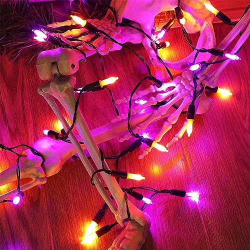 2 Pack 50 LED Outdoor Halloween Lights (2 Count)