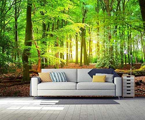 Forest Wall Murals Landscape Tree Wallpaper