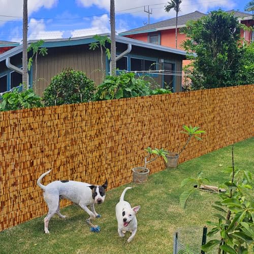 Bamboo Fencing (24 Sq Ft)