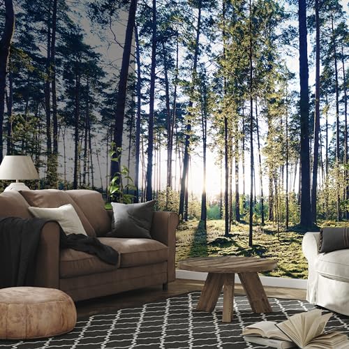 Wall Mural Wallpaper (11 Count)