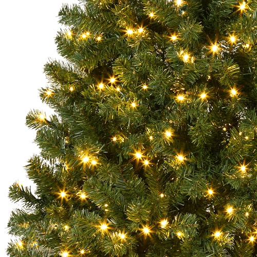 6ft Prelit Wide Fraser Fir Artificial Christmas Tree with RGBW Light