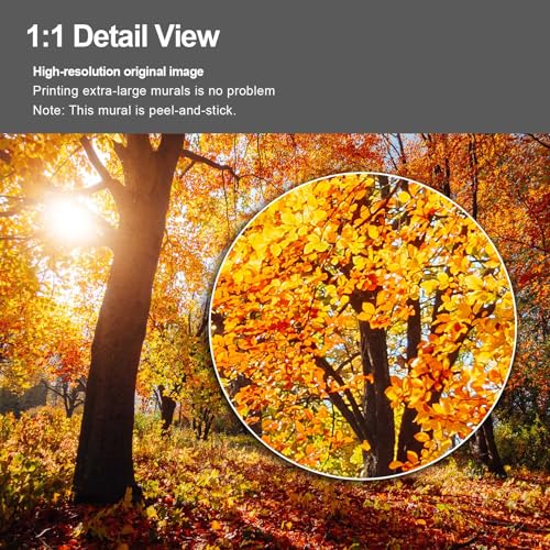 Golden Autumn Sunlit Forest wall Mural Peel and Stick Wallpaper for Bedroom Living Room
