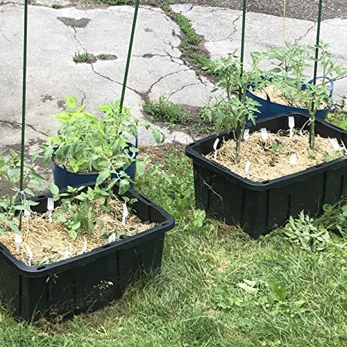 Garden Plant Stakes (25 Count)