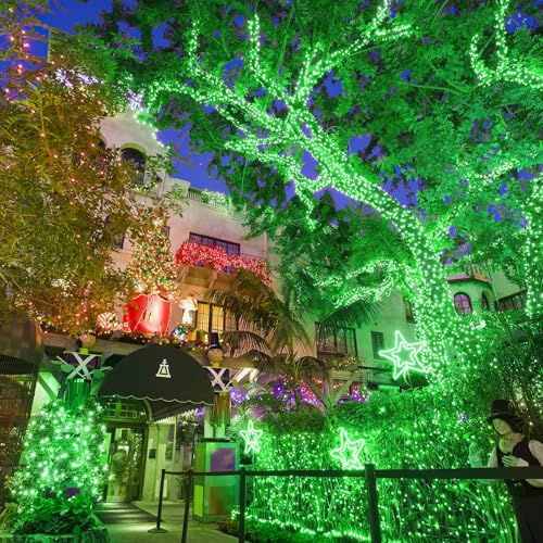 40FT 120 LED String Lights Indoor
