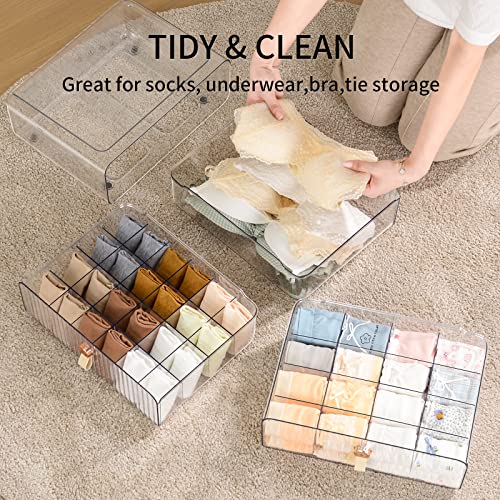 Underwear Organizer for Closet
