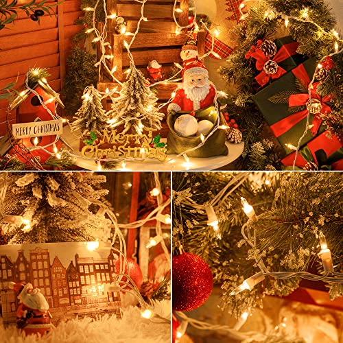 Clear Christmas Lights Set (26 Foot)