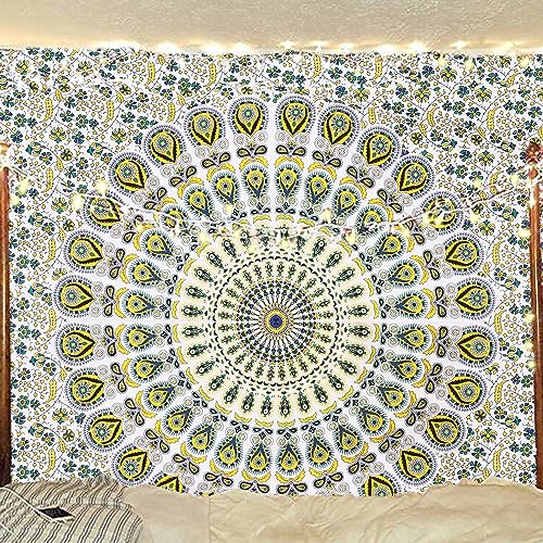 Organic Cotton