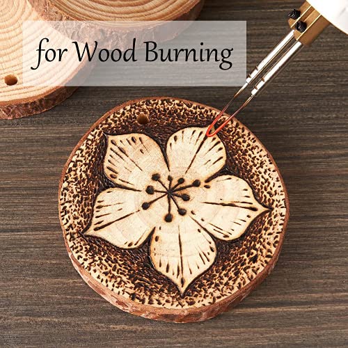 Unfinished Natural Wooden Slices 60 Pcs 3.2 (80 Count)