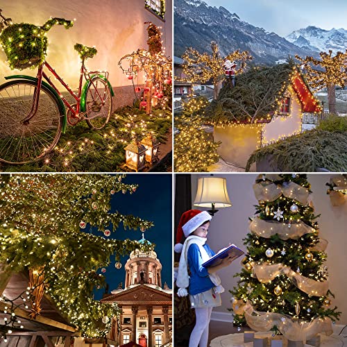 50 LED Outdoor Christmas Lights