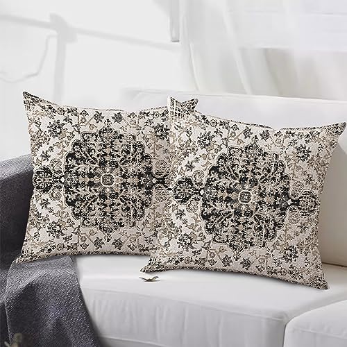 Waterproof Throw Pillow Covers 20X20 Inch Set of 2 Bohemian Vintage Carpet Pattern Black Grey Ethnic Design Decorative Farmhouse for Couch Garden Balcony (8.5 Count)