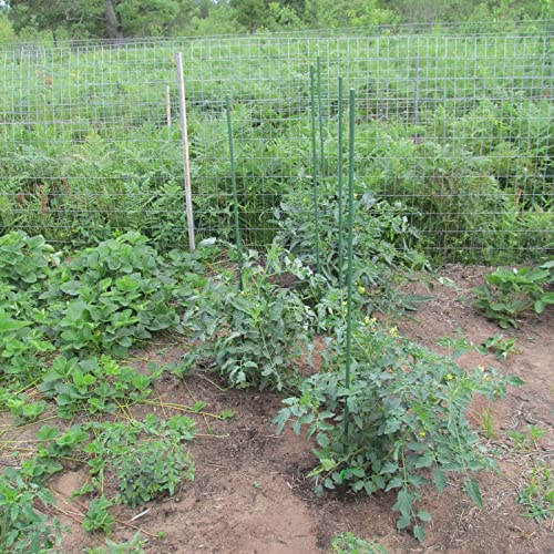 Garden Plant Stakes (25 Count)