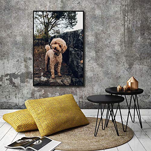 Custom Framed Canvas Prints with Your Photo for Pets