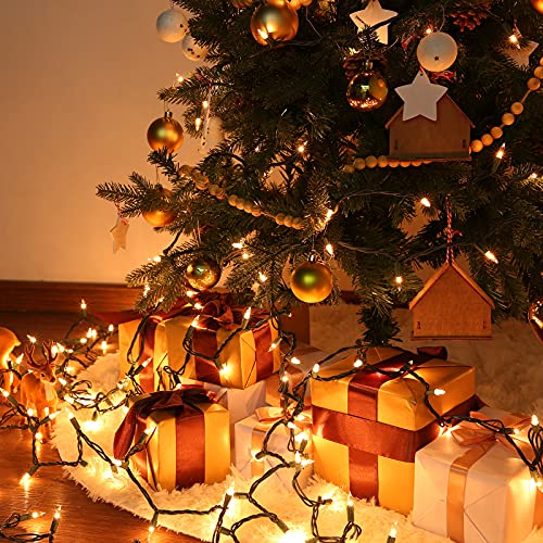 Clear Christmas Lights (25 Foot)