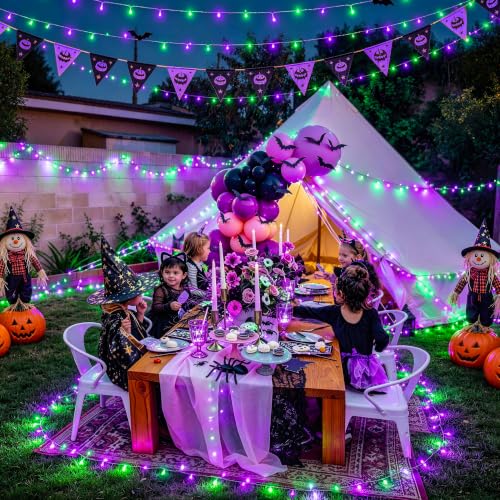 600 LED Purple Green String Lights Plug in Indoor Outdoor (168 Foot)