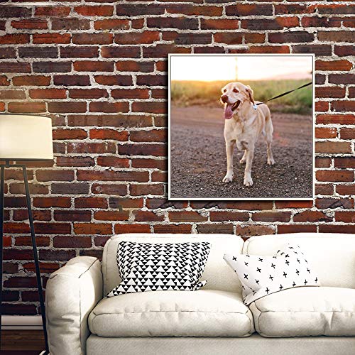 Custom Framed Canvas Prints with Your Photo for Pets