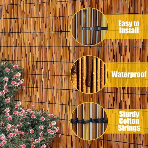 2PACK Natural Reed Fencing 6FT X 16.4FT Reed Fence 6FT High Balcony Reed Fence Privacy Reed Screen for Outdoor Backyard Patio (196.8 Sq Ft)